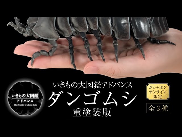 Complete unboxing video of the online version of the 