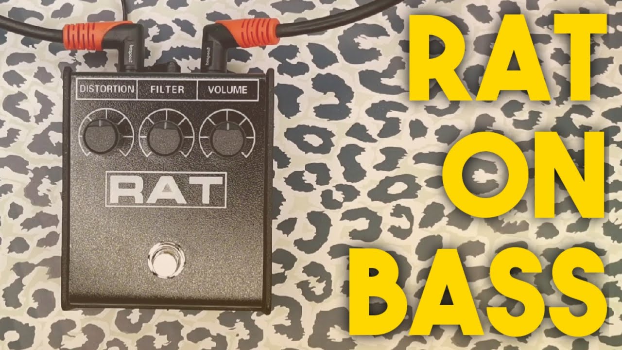 Proco: Rat 2 - On Bass | Amateur Effects Reviews - YouTube