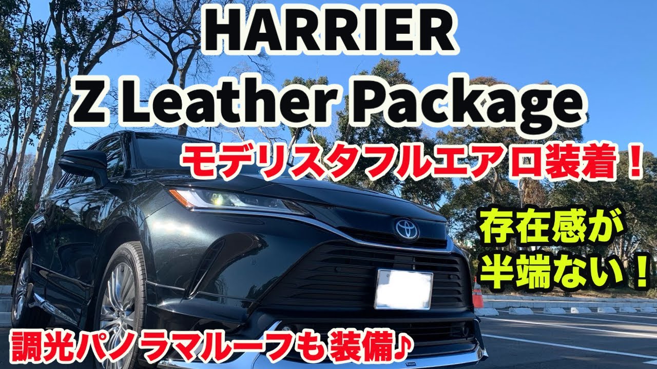 Top grade + full aero!] A thorough check of the Harrier Z Leather