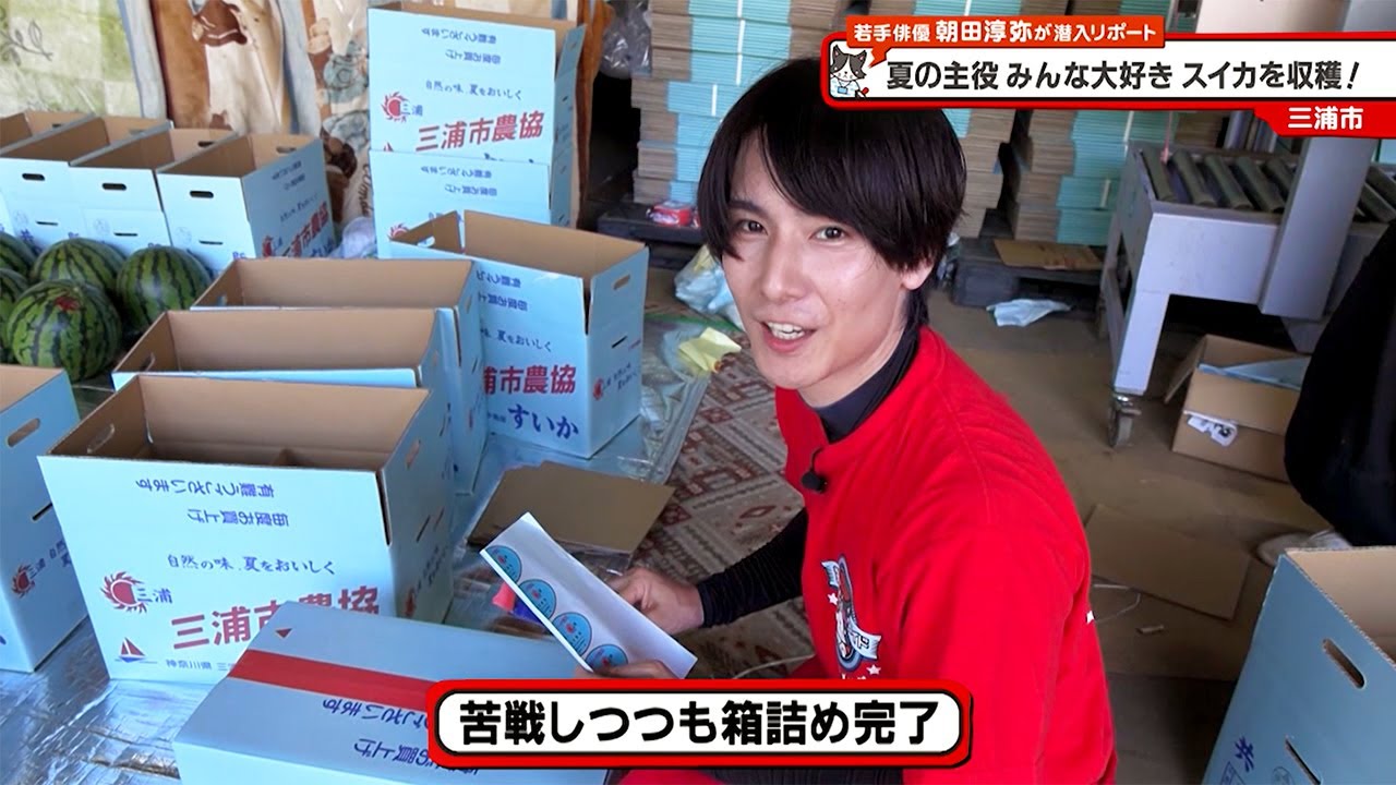 猫のひたいほどワイド #1445 潜入リポート・朝田淳弥「夏の主役