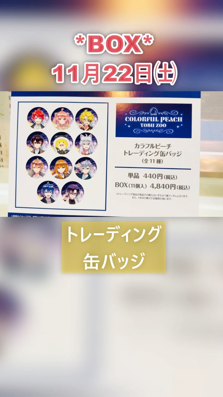 完売】クリアファイル＋ビスケット「からぴちグッズ在庫状況⑥」東武