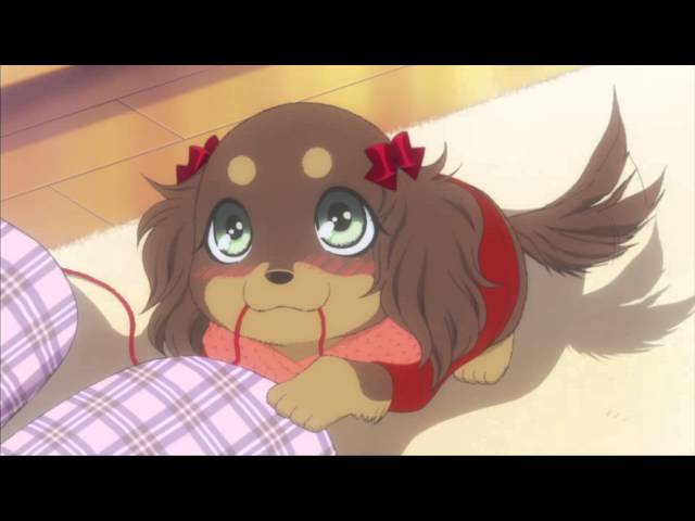 チョコタン！ - YouTube