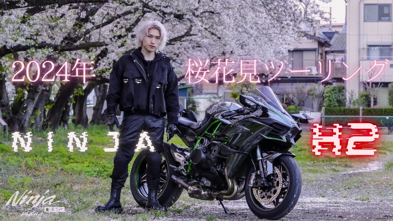 2024年度 桜花見ツーリング cherry blossoms Episode 55/東京/Japan