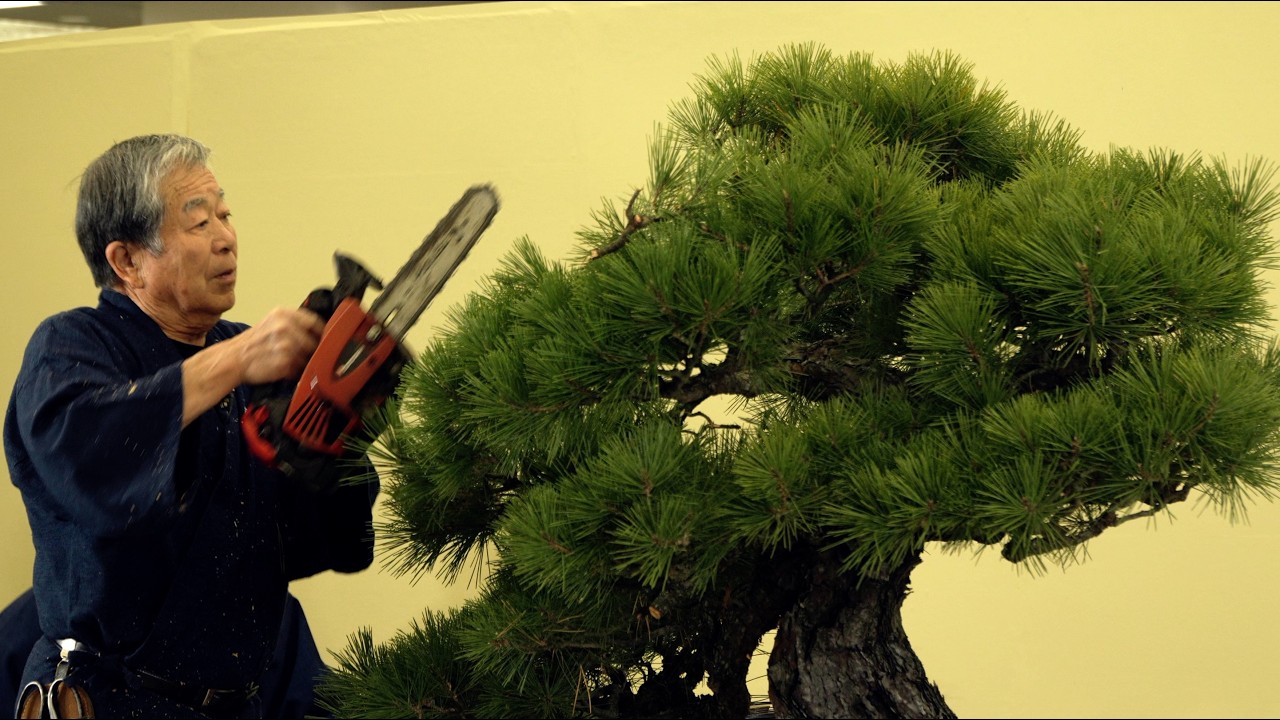 盆栽鉢紹介！水野嗣賀男陶翠 Sikao Tosui Bonsaipot - YouTube