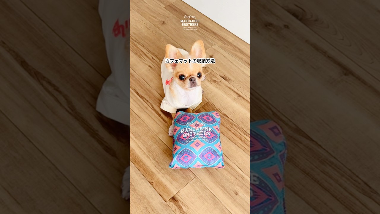 COOL CAFE MAT クールカフェマット | MANDARINE BROTHERS マンダリン