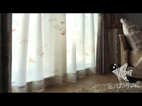 びっくりカーテン - YouTube