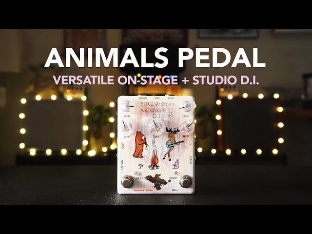 Animals Pedal // Firewood Acoustic D.I. MKII (Demo) - YouTube
