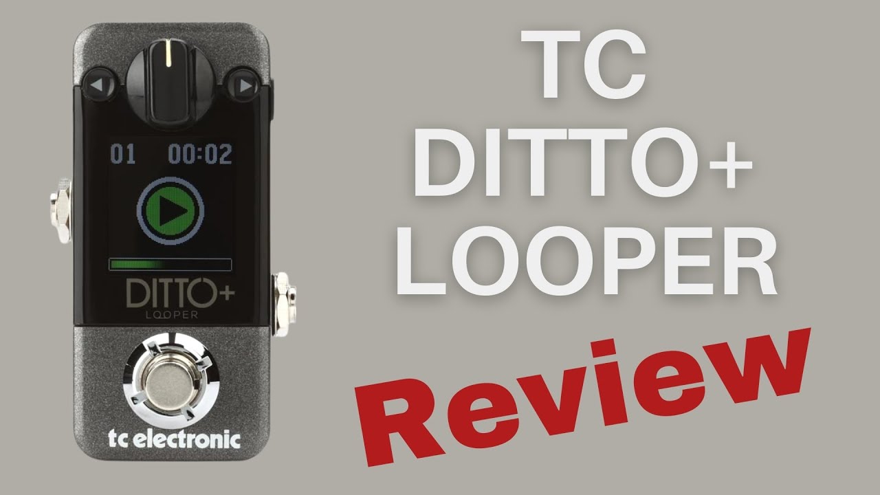 TC Electronic | Product | DITTO+ LOOPER