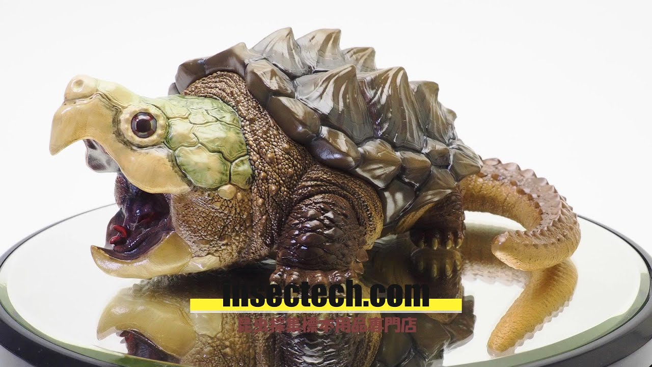 動物の惑星LET'S爬体】ワニガメ Macrochelys temminckii フィギュア