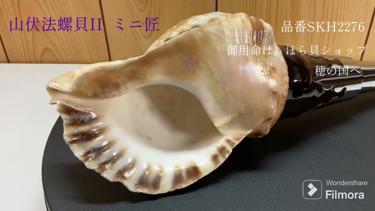 山伏法螺貝II ミニ匠 ほら貝 ホラ貝 - YouTube