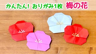 折り紙1枚でできる】簡単！可愛い 梅の花の折り方 ◇Origami Plum