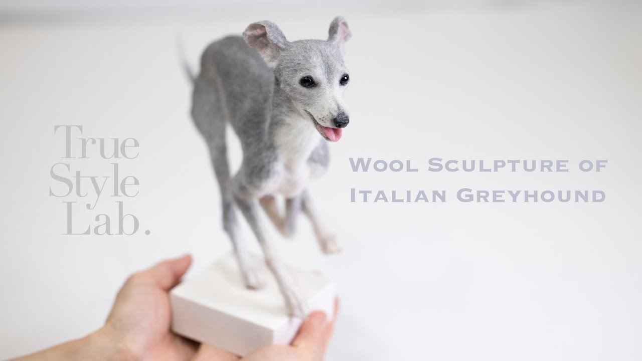 Wool Sculpture of Italian Greyhound - YouTube