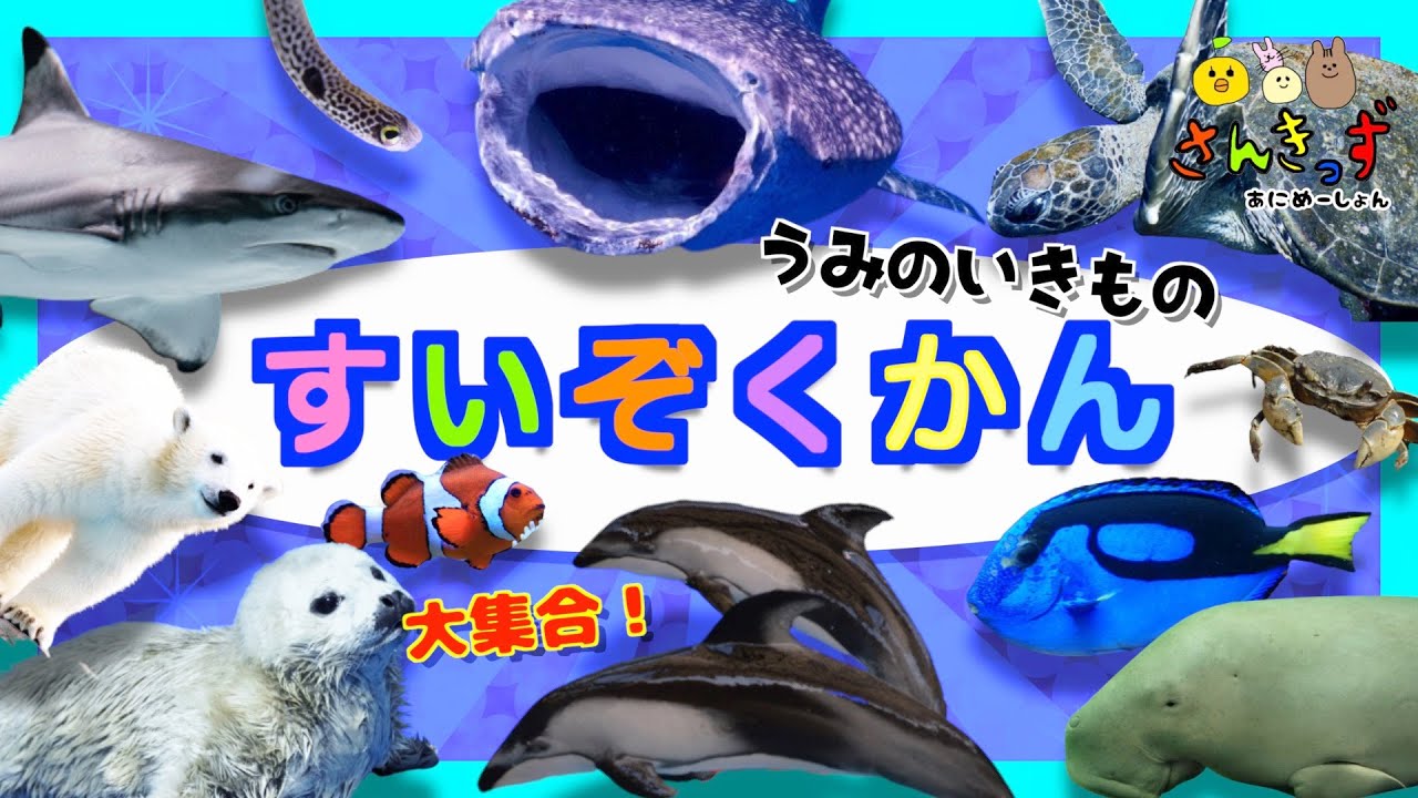 水族館へ行こう！サメ シャチ イルカ ジンベイザメ 海の生き物 お魚