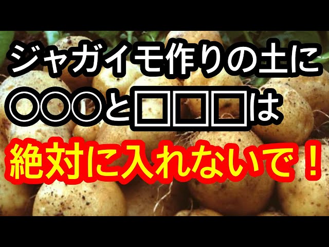 Potatoes] These two things are a no-no and will cause failure