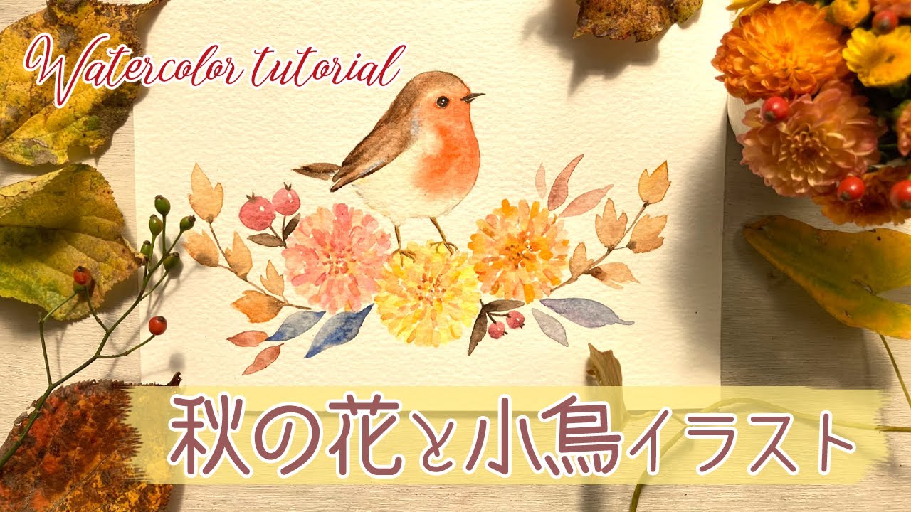 秋の花と小鳥のおしゃれな水彩イラスト【菊とロビン🐤の描き方】How to