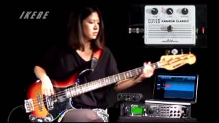 池部楽器店】Roger Mayer VooDoo-Bass KAMEDA CLASSIC “IKEBE 40th