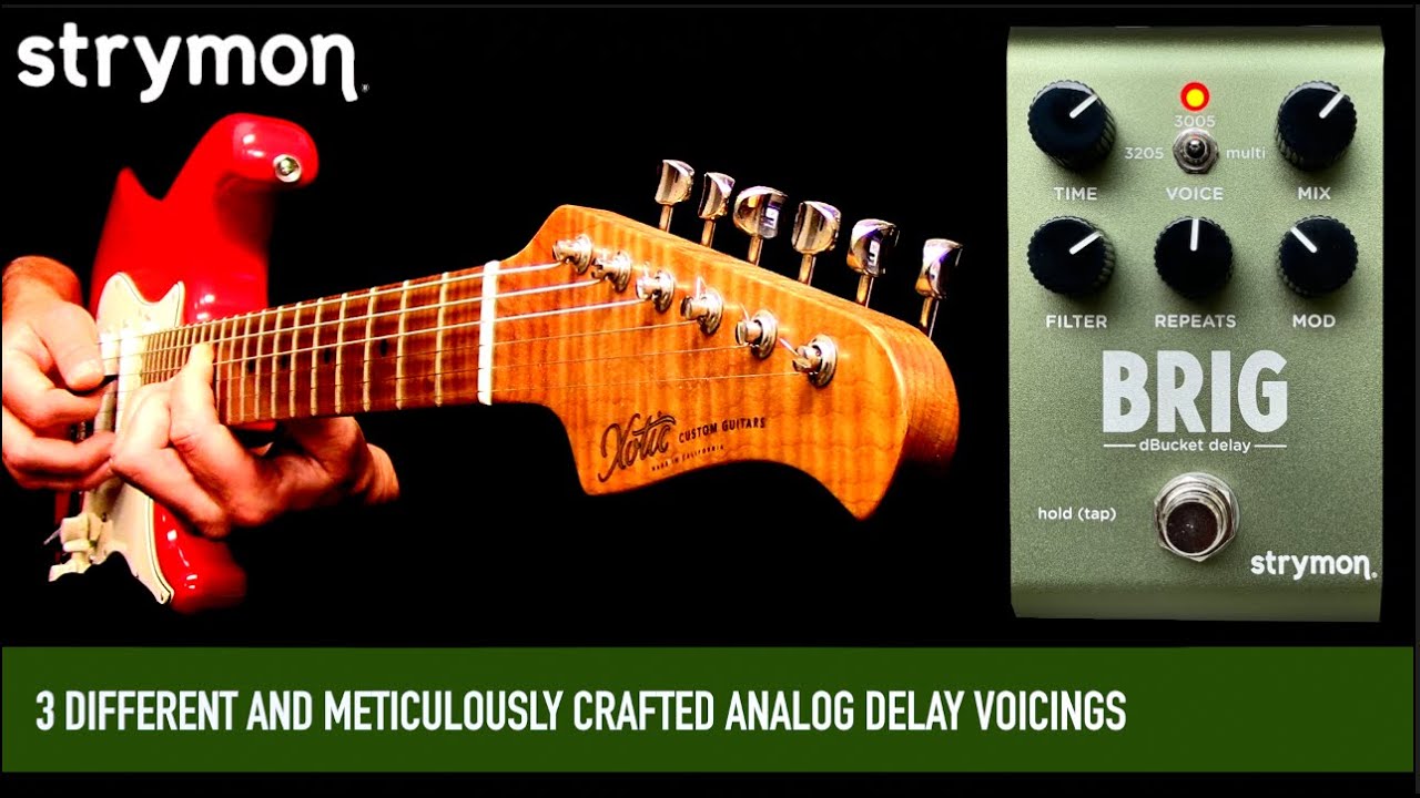 Strymon Brig DBucket Delay - YouTube
