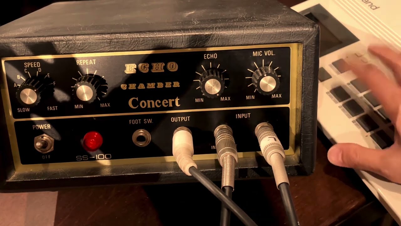 Kastam SS-100 8Track tape echo - YouTube