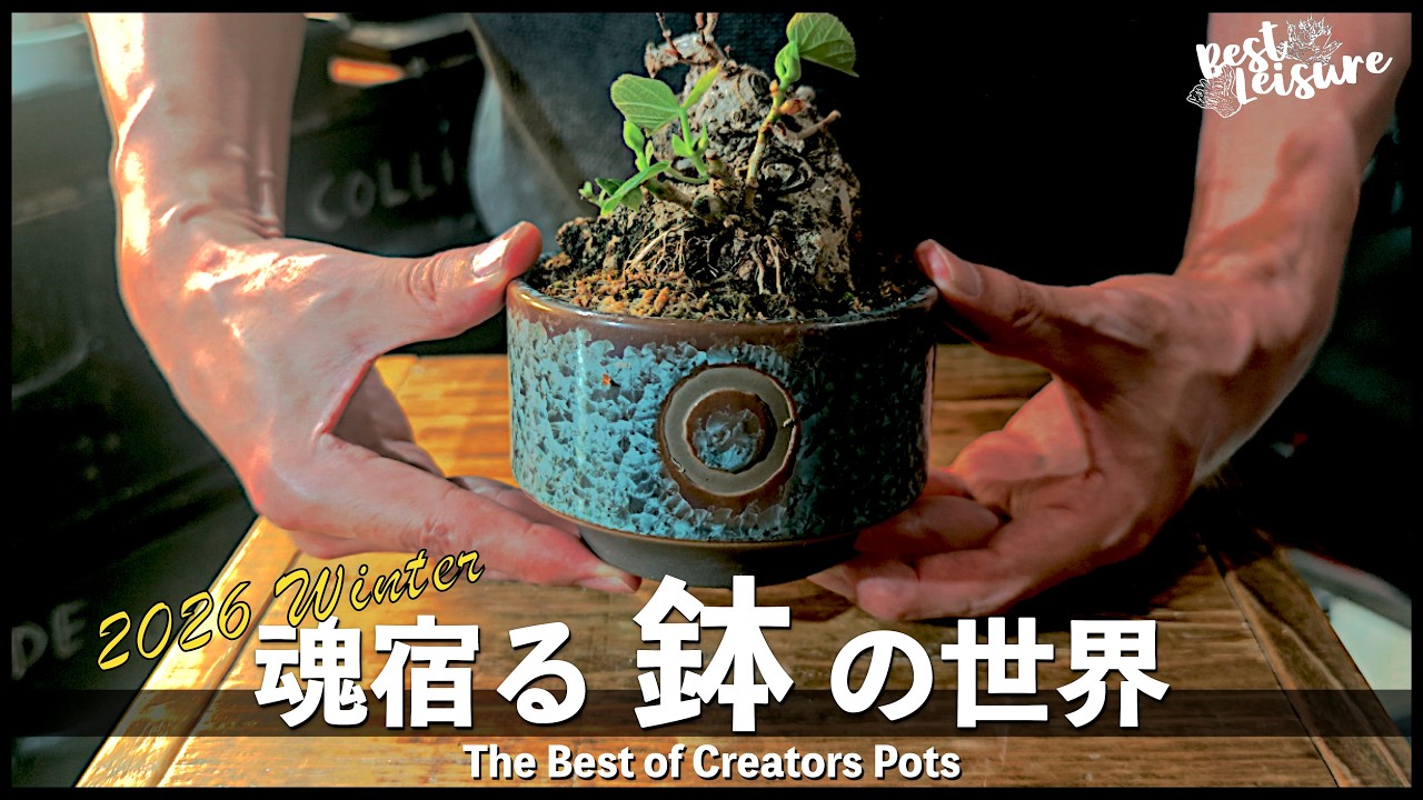 僕の好きな陶器鉢/作家鉢と仕立ての魅力｜N/OH｜たけろうポット