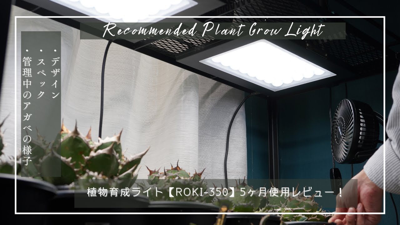 ROKI 350 Grow Light Review: 5 Months of Use! Let me show you the