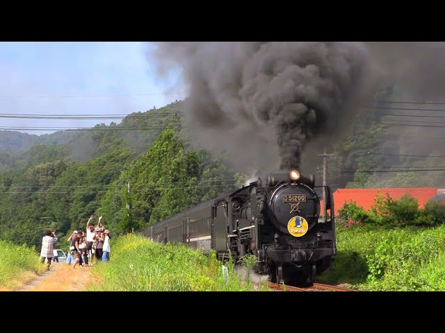 盛夏】SLやまぐち号 D51200号機 2025.7月～8月 Japanese Steam