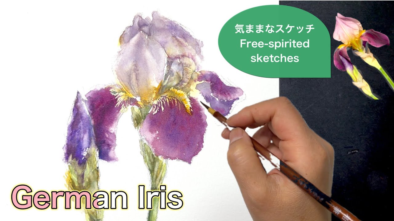 Watercolor painting] Carefree sketch German iris - YouTube