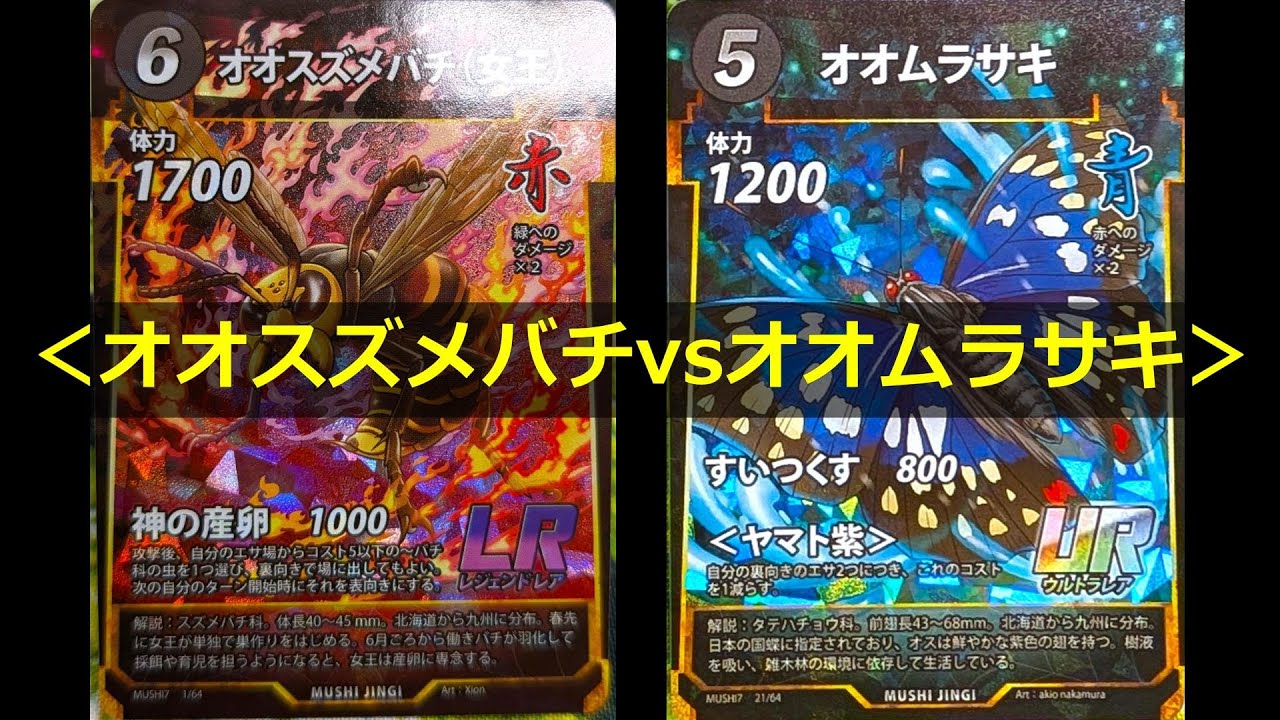 蟲神器】第7弾を体験！＜オオスズメバチ(女王)＆オオムラサキ＞【#わか