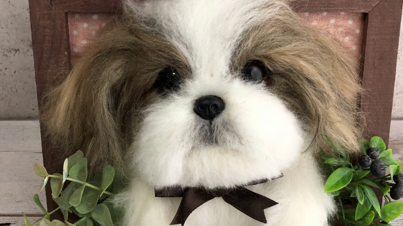 羊毛フェルトで作るリアルシーズーの作り方【壁飾り】 - YouTube