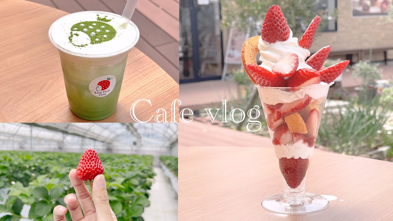 名古屋カフェVlog】いちご狩りもできておしゃれな「キングファーム