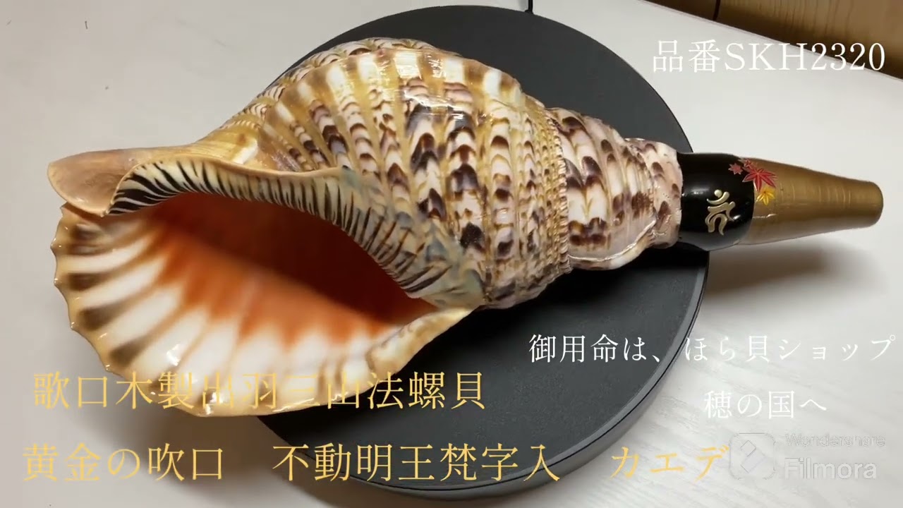 歌口木製出羽三山法螺貝黄金の吹口不動明王梵字入カエデほら貝ホラ貝