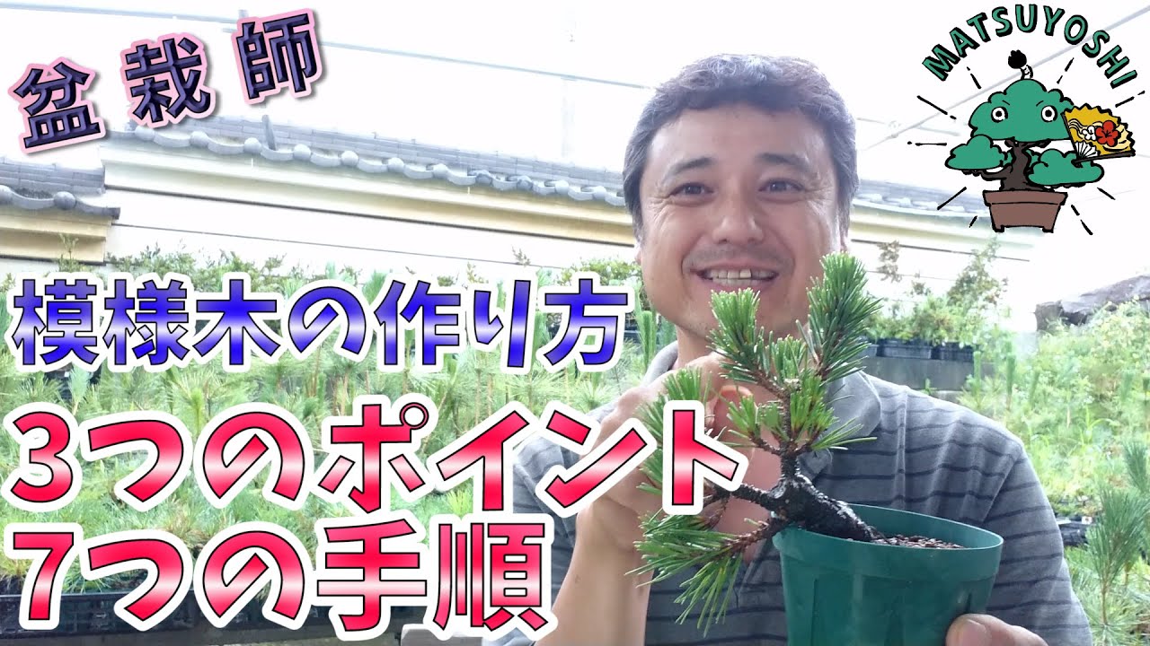 鉄板テンプレート紹介】模様木の作り方【10の法則】小品盆栽 ミニ盆栽