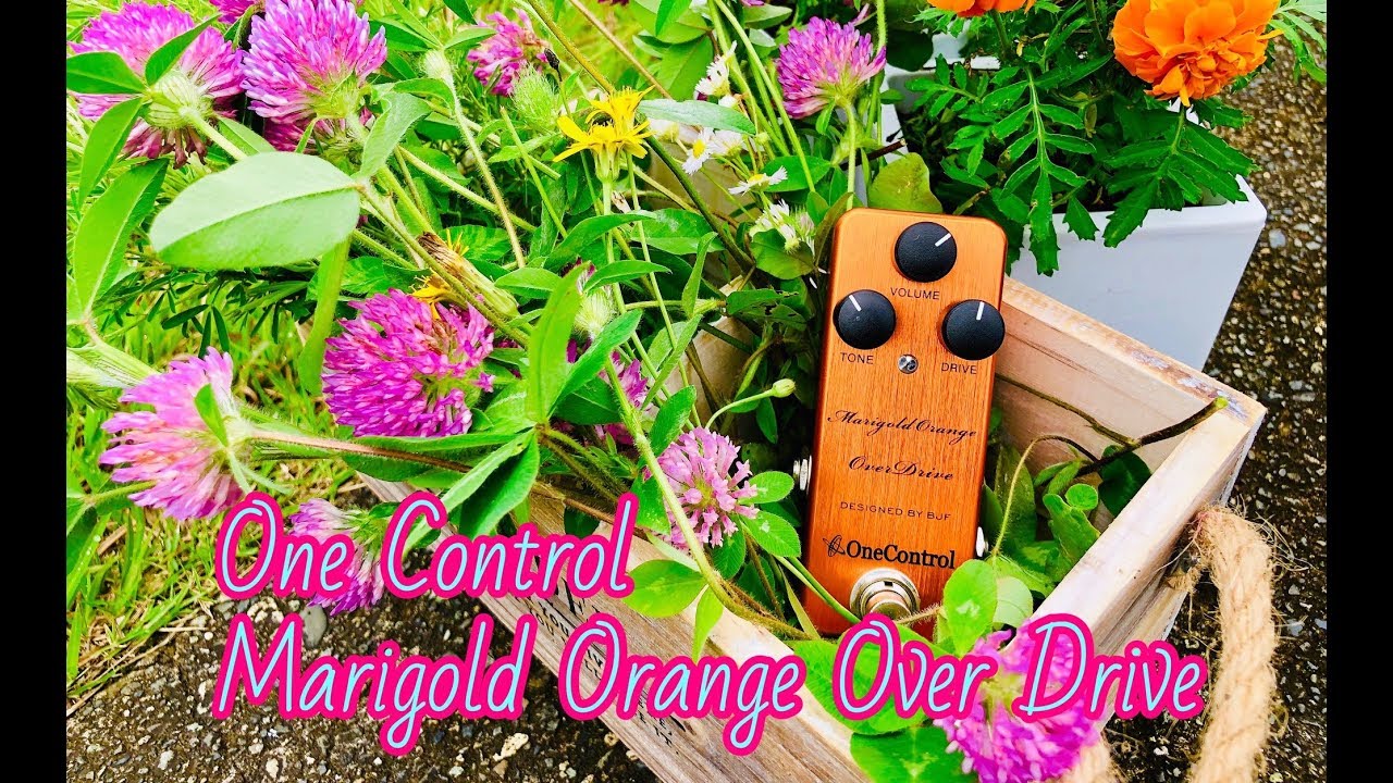 MARIGOLD ORANGE OVERDRIVE (OC-MOODn) – One Control USA