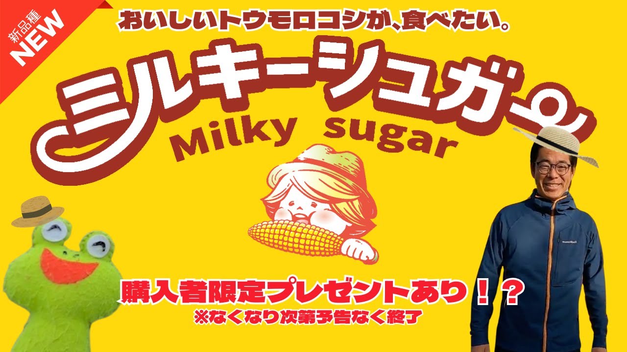 新品種】低温でも発芽する新品種ミルキーシュガーをご紹介！【スイート