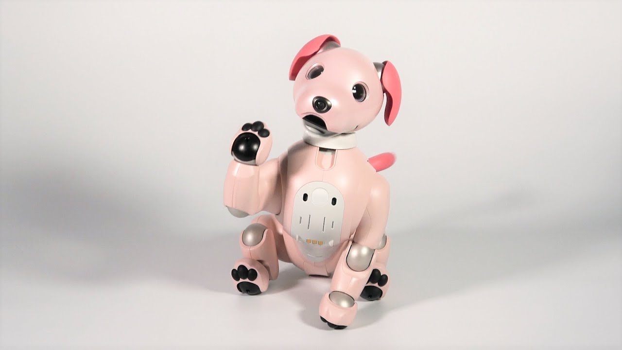 aibo いちごミルク エディション限定ふるまい「いちごミルク・シェイク
