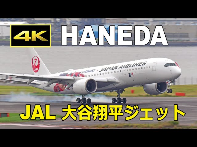 4K] JAL 大谷翔平ジェット「DREAM SHO JET」- 羽田空港（2024年9月30日