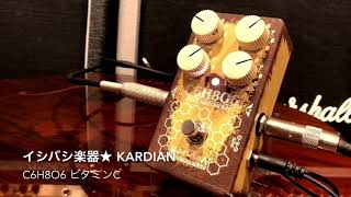 KarDian / C6H8O6 ビタミンC 【ファズ】【イシバシ楽器梅田店】 - YouTube