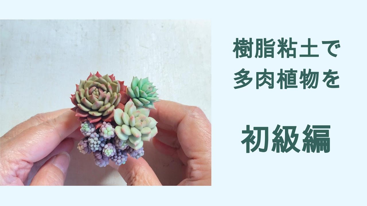 樹脂粘土で多肉植物 初級編 - YouTube
