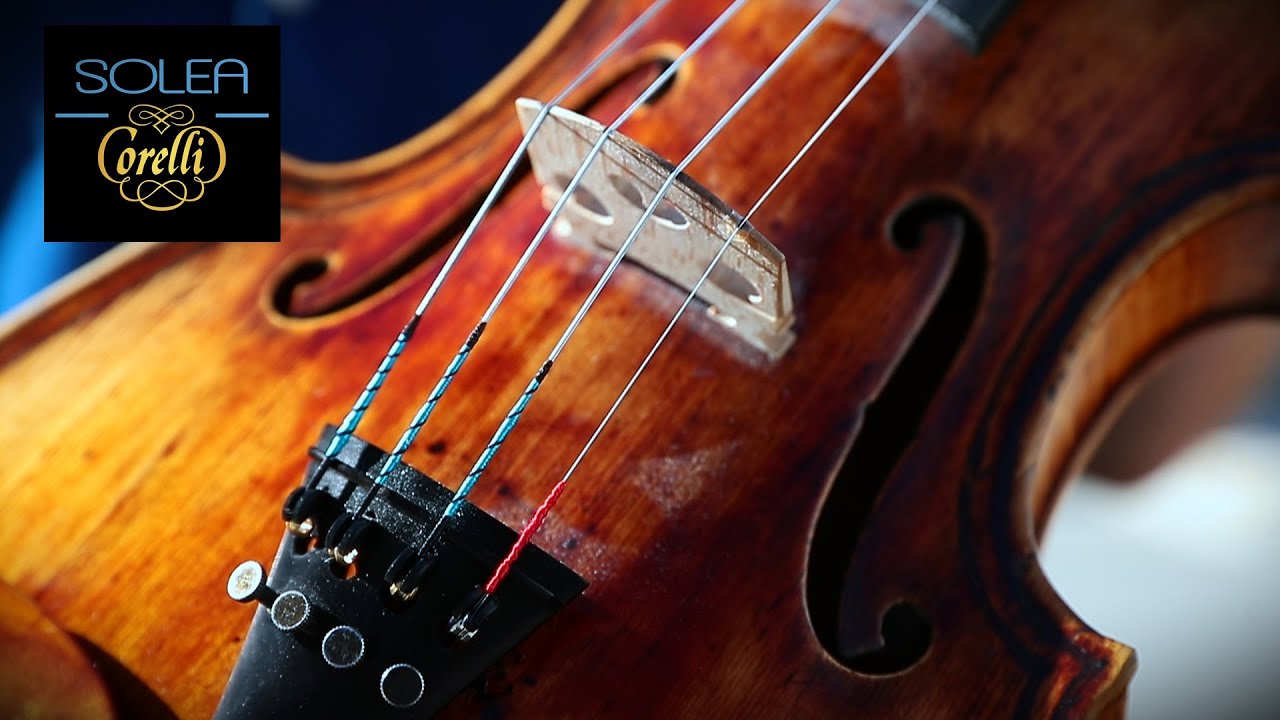 Corelli Solea Forte | Savarez