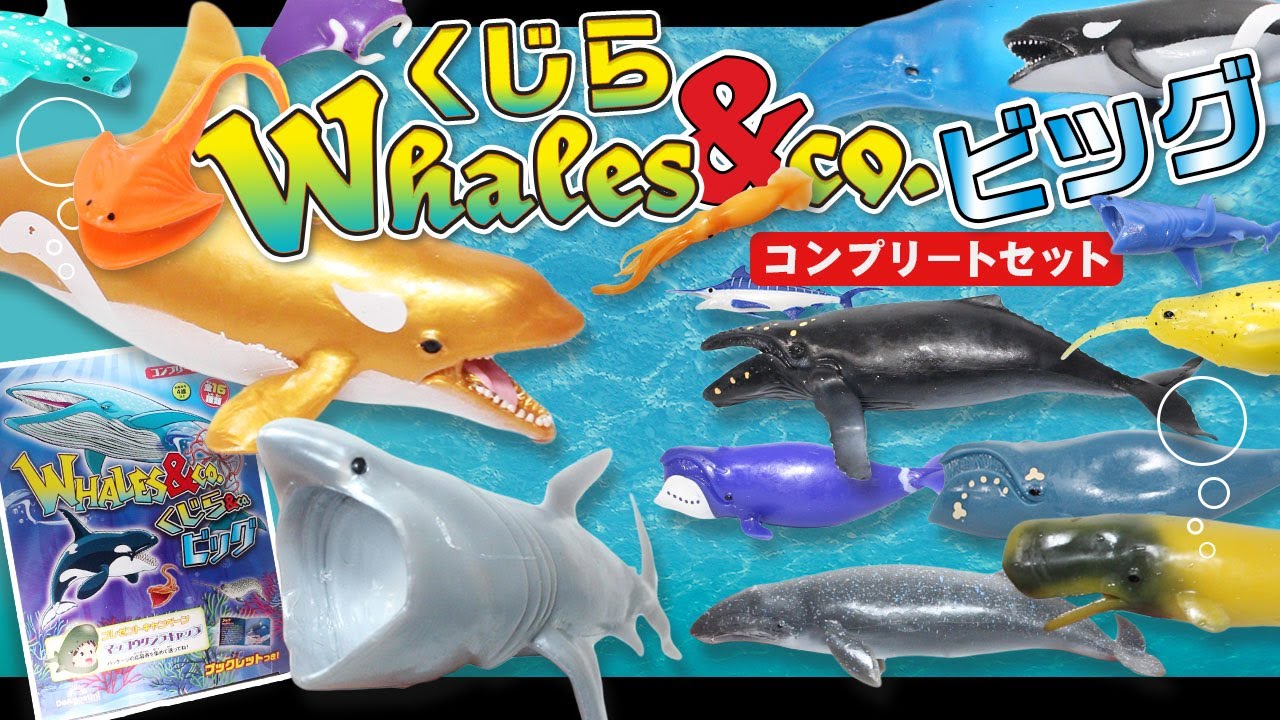 De Agostini Whales & Co. Big Unboxing Review! English subtitles