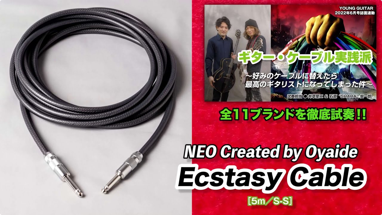 NEO Created by Oyaide / Ecstasy Cable：圧巻の解像度が生む快感
