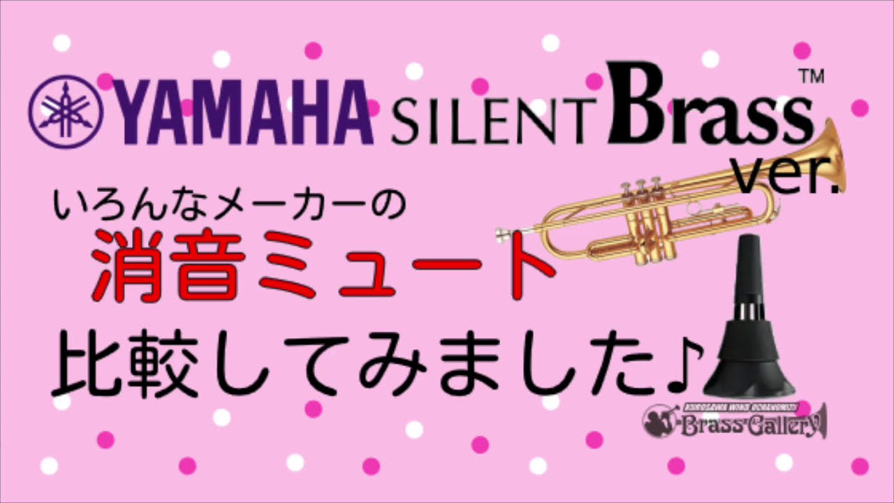 消音ミュート比較してみました♪《 ヤマハ サイレントブラス SB7X ver