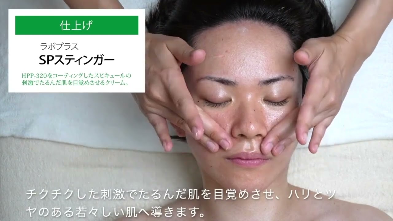 ラボプラス SPスティンガー 30g【店販用】の卸・通販 | ビューティガレージ