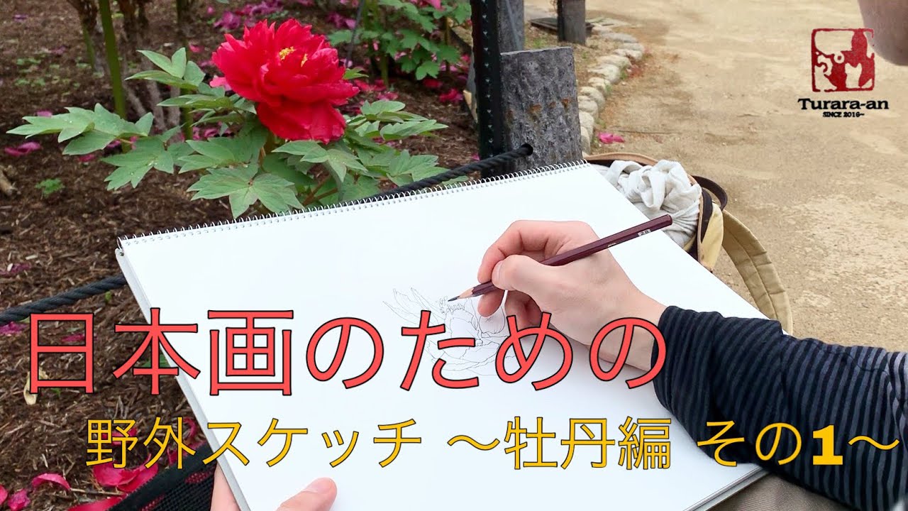 Outdoor sketches for Japanese paintings - Peony part 1 - - YouTube