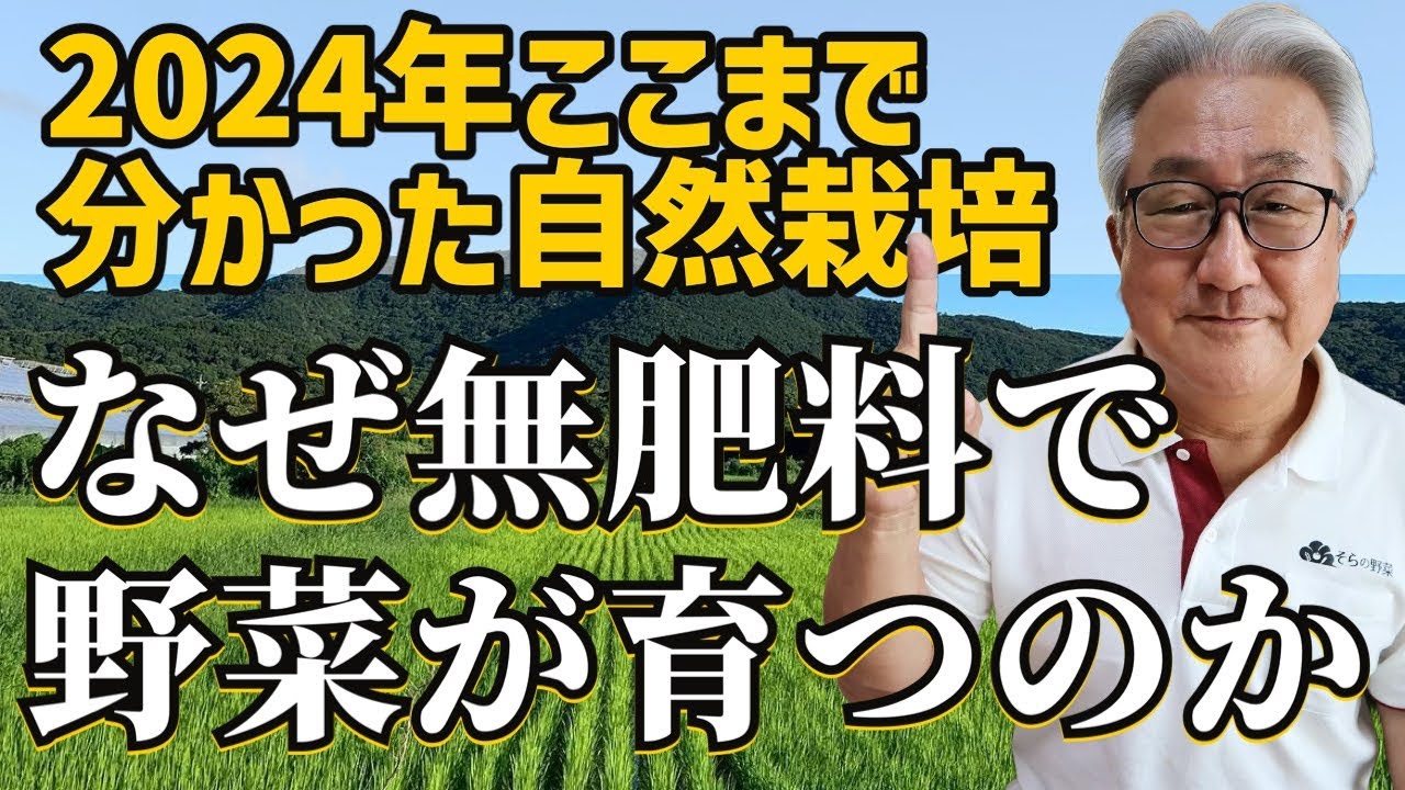 なぜ無肥料で野菜が育つのか！2024年、ここまで分かった自然栽培【自然