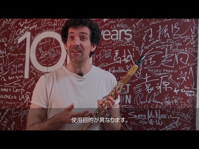 Raleigh フランス製 木製クラリネット MP Noblet 動作品 クラリネット