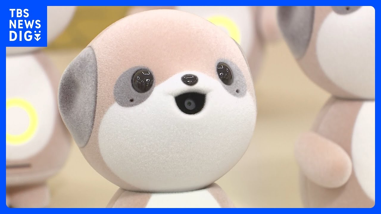 背景に”ぬい活”？AI搭載最新「ぬいぐるみ」ロボット シャープが発表