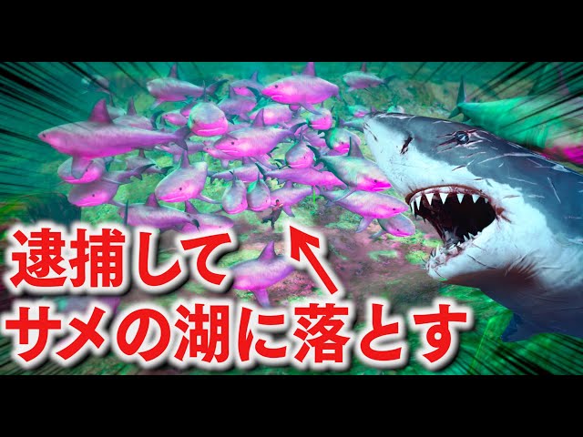 GTA5] I dropped an arrested person into a shark lake! A terrifying