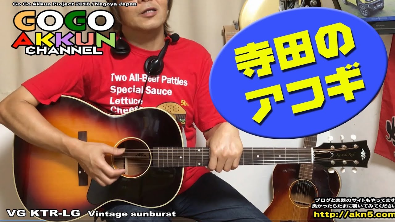 VG KTR-LG 新しいアコギを買いました！～VS FG-110赤ラベル、LG-1