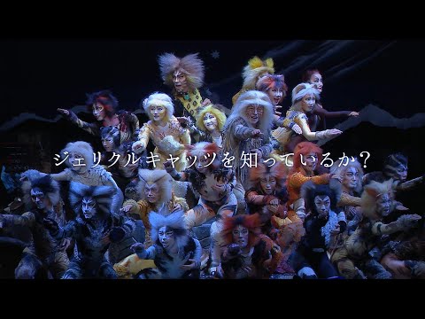 劇団四季：キャッツ：仙台公演プロモーションVTR（2025年） - YouTube