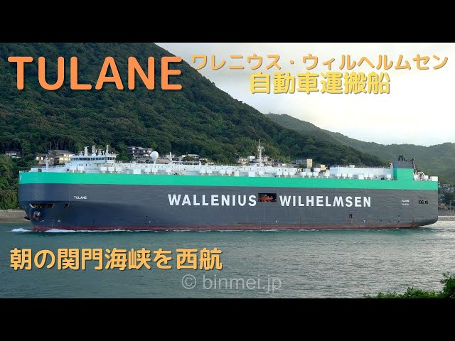 TULANE - WALLENIUS WILHELMSEN, vehicles carrier / ワレニウス